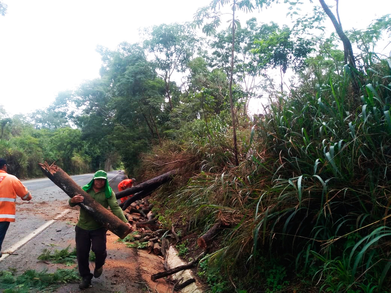 content der mg divulgacao 2